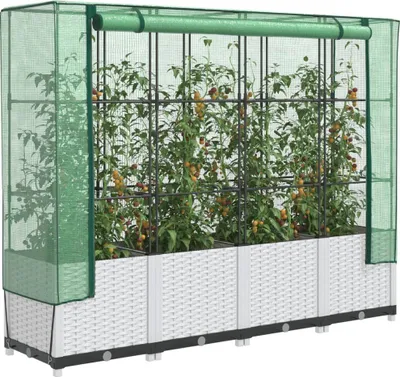 A raised garden bed with a greenhouse cover, containing tomato plants.