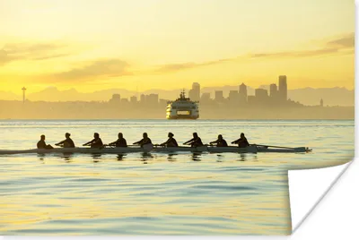 Produktbild von MuchoWow® Poster Eine Gruppe von Ruderern in der Bucht 180x120 cm - Fotoplakat