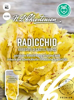 Artikelbild 1 von 'Radicchio Variegata di Castelfranco' aus der Kategorie Radicchiosamen