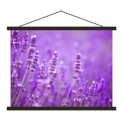 Produktbild von MuchoWow® Textilposter Lavendel - Nahaufnahme - Blumen - Lila 120x90 cm mit schwarzem Rahmen - Aufhänger für Poster