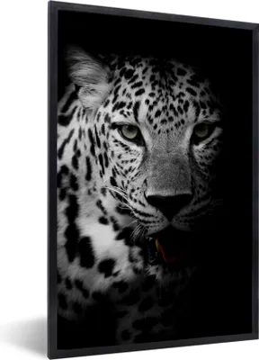 Produktbild von MuchoWow® Gerahmtes Poster Tiere - Schwarz - Weiß - Panther - Porträt 60x90 cm - Poster mit Schwarzem Bilderrahmen Wandposter Rahmen Foto Bilder - Kunst