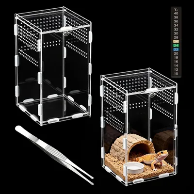 Produktbild von Acryl-Terrarium für Reptilien mit Thermometer und Pinzette