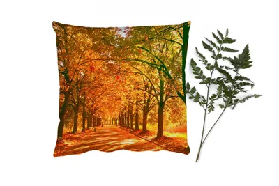 Produktbild von MuchoWow® Zierkissen Sofakissen Wohnzimmer Dekokissen 50x50 cm Wald - Herbst - Jahreszeiten - Ländlich - Komfort - Sofakissen