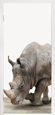 Produktbild von MuchoWow® Türtapete Selbstklebende Türfolie Nashorn - Jungen - Wildtiere - Kinder - Mädchen - Tiere 85x215 cm Türposter Türaufkleber Klebefolie Türklebefolie - Aufkleber für türen - Türplakat - Dekoration