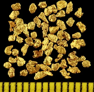 A collection of gold nuggets on a black background with a ruler at the bottom.