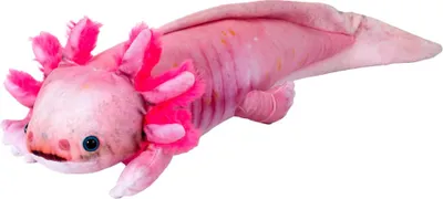 Produktbild von Axolotl Amphibien Plüschtier als Geschenkidee 38cm