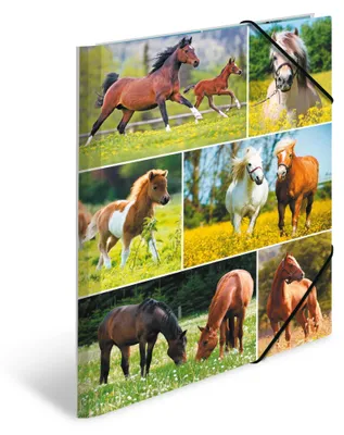 Produktbild von HERMA Eckspannermappe "Pferdewiese" Karton DIN A4