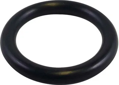 Zdjęcie produktu dla O-ring o średnicy wewnętrznej 21,8 mm, średnicy zewnętrznej 28,8 mm i grubości 3,5 mm