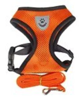 Immagine prodotto di REFLEX Collari per cani con guinzaglio XL - arancione