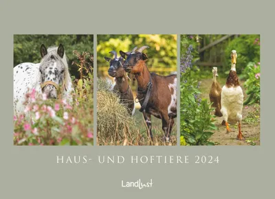 Image de Calendrier mural 2024 : Animaux de la ferme et de la cour - Photographies, format 62x45 cm
