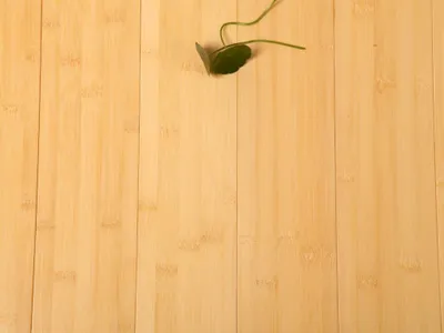 Produktbild von Timefloor | 2,212 m² | Natur 15mm Bambus Massivparkett, Massivholzdielen Fixlänge, Hikari Forest Horizontallamelle, Langlebiges Bodenbelag, Stabiles Parkett