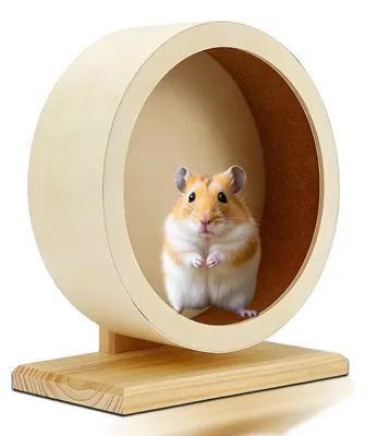 Produktbild von Ruhiges Laufrad für Hamster – Durchmesser 15 cm, mit Korkstreifen