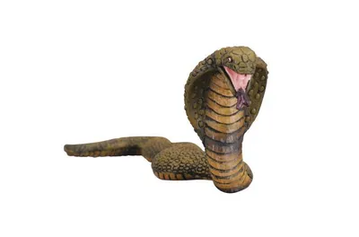 Immagine prodotto di Collecta 88230 Cobra reale Cobra reale 15 cm Animali selvatici
