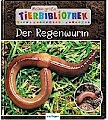 Produktbild von Meine große Tierbibliothek: Der Regenwurm