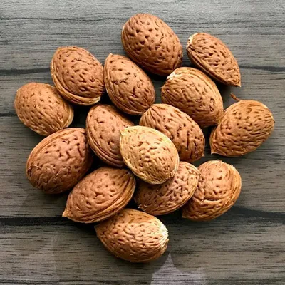 Produktbild von Mandelbaum Pfälzer Fruchtmandel - selbstfruchtbare Süßmandel