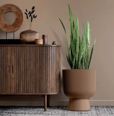 Produktbild von Blumentopf Milly designer zylindrischer Form für Innen- und Außenbereich Pflanzgefäß Pflanztopf aus Kunststoff 390 mm Farbe Kupfer