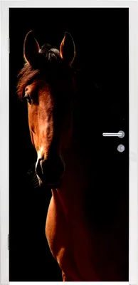 Produktbild von MuchoWow® Türtapete Selbstklebende Türfolie Pferd - Licht - Porträt 90x205 cm Türposter Türaufkleber Klebefolie Türklebefolie - Türaufklebern