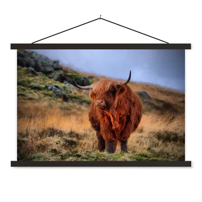 Produktbild von MuchoWow® Textilposter Schottische Highlander - Gras - Steine 150x100 cm mit schwarzem Rahmen - Schlafzimmer