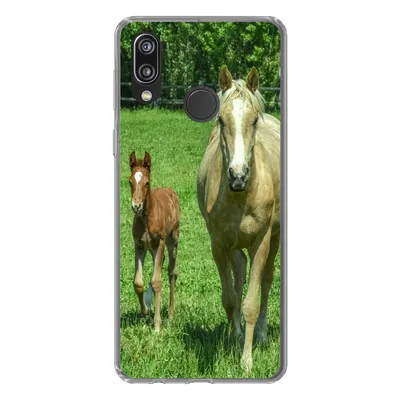 Produktbild von MuchoWow® Handyhülle Schutzhülle Hülle für Huawei P20 Lite (2020) Pferd - Fohlen - Tiere Silikon Softcase Handy Hülle - Kartenhalter