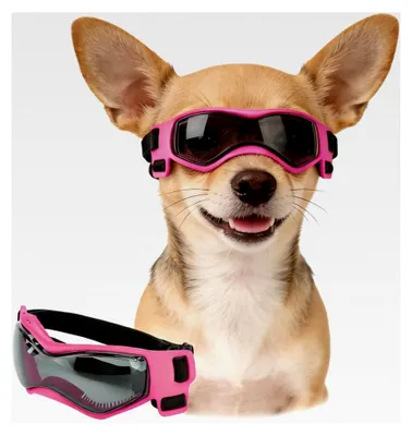Produktbild von Sonnenbrille für kleine Hunde, UV-Schutz, Augenschutz beim Radfahren, wind- und staubdicht, verstellbare Gurte, in Rosa