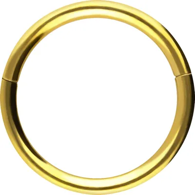 Produktbild von Ohrpiercing, Nasenpiercing, Septum Piercing Chirurgenstahl Segmentring Clicker Gold Innendurchmesser: 7mm + Stabstärke: 0,8mm