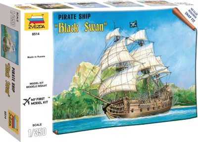 Produktbild von Black Swan / 1:350