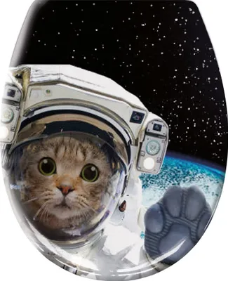 Zdjęcie produktu dla Deska sedesowa Kleine Wolke COSMO CAT Multicolour z mechanizmem cichego domykania i funkcją Easy Clean