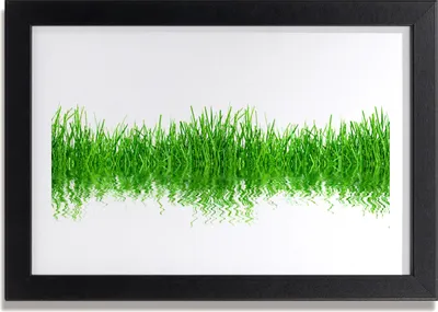Produktbild von Bild 30x20 MDF-Rahmen Wandkunst Gras Natur Pflanze