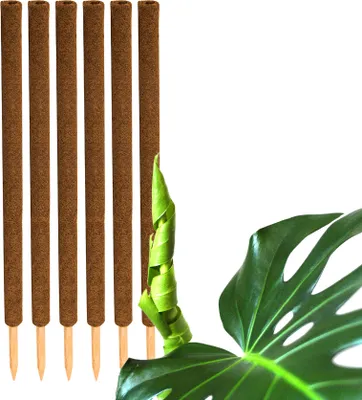 Produktbild von BigDean 6er Set Pflanzstäbe Kokos 110 cm - Monstera Rankhilfe Rankstäbe Stab Moosstäbe Pflanzenstäbe Kokosstäbe für Pflanzen - natürlicher Kokosfaser