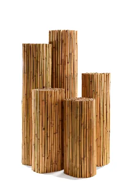 Produktbild von Bambuszaun - Rollzaun aus Bambusrohre 180 x 300 cm