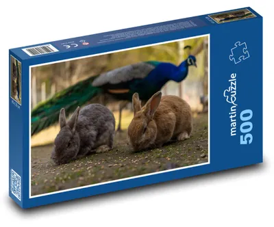 Obrázek produktu pro martinpuzzle - Puzzle 500 - Králici a páv