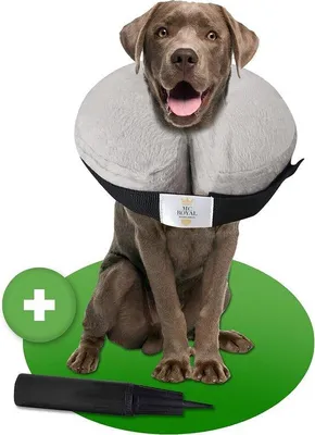 Imagen del producto de Collar protector inflable de alta calidad Unyqoos® para perros y gatos, fabricado con suave terciopelo, con un anillo interior de plástico, diseño ergonómico, incluye bomba de aire, apto para animales de hasta 280 gramos