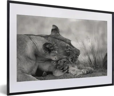 Produktbild von MuchoWow® Gerahmtes Poster Löwin - Jungtier - Schwarz 60x40 cm - Poster mit Schwarzem Bilderrahmen Wandposter Rahmen Foto Bilder - Schlafzimmer - Plakat in Rahmen - Drucken