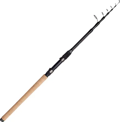 A fishing rod is shown against a white background.