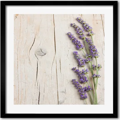 Produktbild von Bild - 50 cm x 50 cm - MDF - Rahmen, Wandkunst - Lavendel auf dem Holz