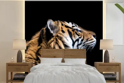 Produktbild von MuchoWow® Fototapete für Wohnzimmer oder Schlafzimmer Wandtapete Vinyl Motivtapete Tiger - Tiere - Porträt - 350x350 cm - Schlafzimmertapete