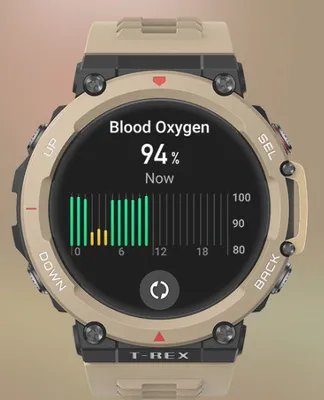Obrázek produktu pro Amazfit T-Rex 2 Desert Khaki EU