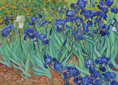 Immagine prodotto di Poster 18x13cm Irises, Van Gogh Vintage per il salotto