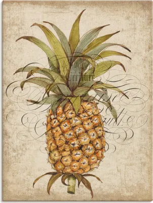 Produktbild von ARTland Leinwandbild Ananas II Größe: 60x80 cm