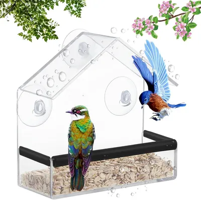 Imagen del producto de Comedero para pájaros de acrílico transparente, de 15 x 15 x 6 cm, con 3 ventosas, para aves silvestres