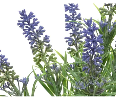 Produktbild von Kaemingk 001090056