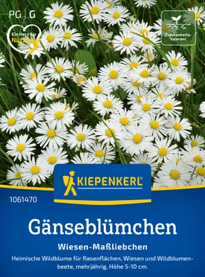 Artikelbild 2 von 'Gänseblümchen Wiesen-Maßliebchen' aus der Kategorie Gänseblümchensamen
