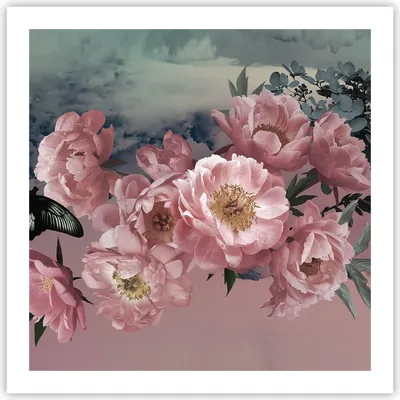 Produktbild von Poster - Poster ohne Rahmen - Blumen Schmetterling Wolken - 60x60 cm - Wand Bild - Wanddeko - Wandbilder - Kunstposter - Wandposter - Bilder - Kunstdruck - Wanddekoration - Wandbild - P2XAC60x60-4881