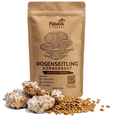 Produktbild von Hawlik Pilzbrut Rosenseitling Körnerbrut 150 g – Pilzbrut für Pilzzucht auf Stroh und Kaffeesatz