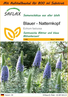 Produktbild von SAFLAX - Garden in the Bag - Blauer - Natternkopf - 100 Samen - Mit Anzuchtsubstrat im praktischen, selbst aufstellenden Beutel - Echium fastuosa