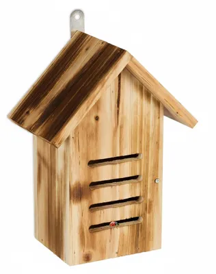 Zdjęcie produktu dla Relaxdays Domek dla biedronek, drewno, wys. x szer. x gł.: 25 x 18,5 x 12 cm, do zawieszenia, do ogrodu, schronisko dla biedronek, kolor naturalny