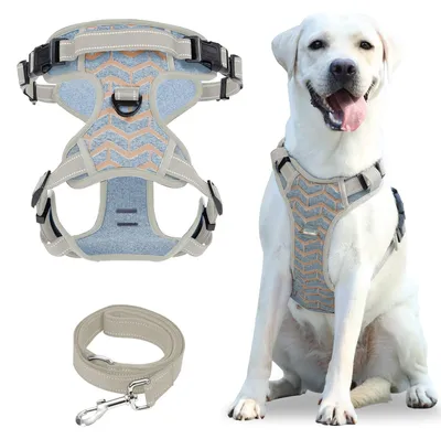 Imagen del producto de Arnés reflectante ajustable para perros con correa, antiladridos, color azul claro, talla S