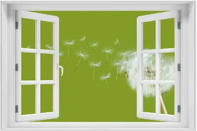 Produktbild von Wallario Wandbild mit Fenster-Illusion: Pusteblume auf der Wiese mit fliegenden Samen, Größe: 61 x 91,5 cm, Poster mit weißem Aluminiumrahmen