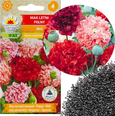 Produktbild von Sommer Mohn Volle Farbe Mix Mohnblumen Samen 0.5G Pfingstrose Mohn