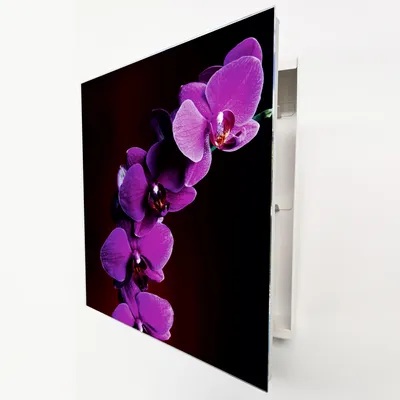 Produktbild von Schlüsselkasten Weiß Metall, lila Orchidee Motiv hinter Glas, Moderne Schlüsselbox rechtsöffnend, 32x28x6,5 cm, 20 Haken für Ordnung im Flur.
